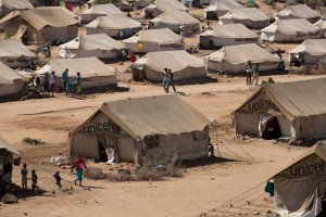 Image result for eritrean refugees in usa